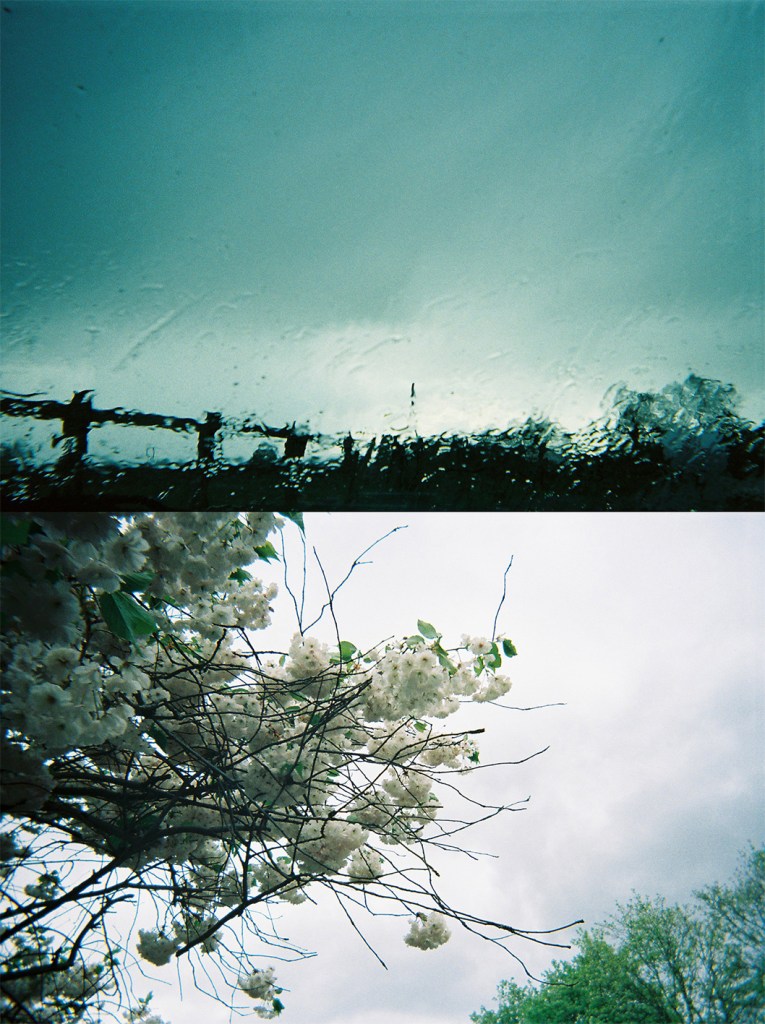 Madeleine Corcoran: Untitled diptych 1