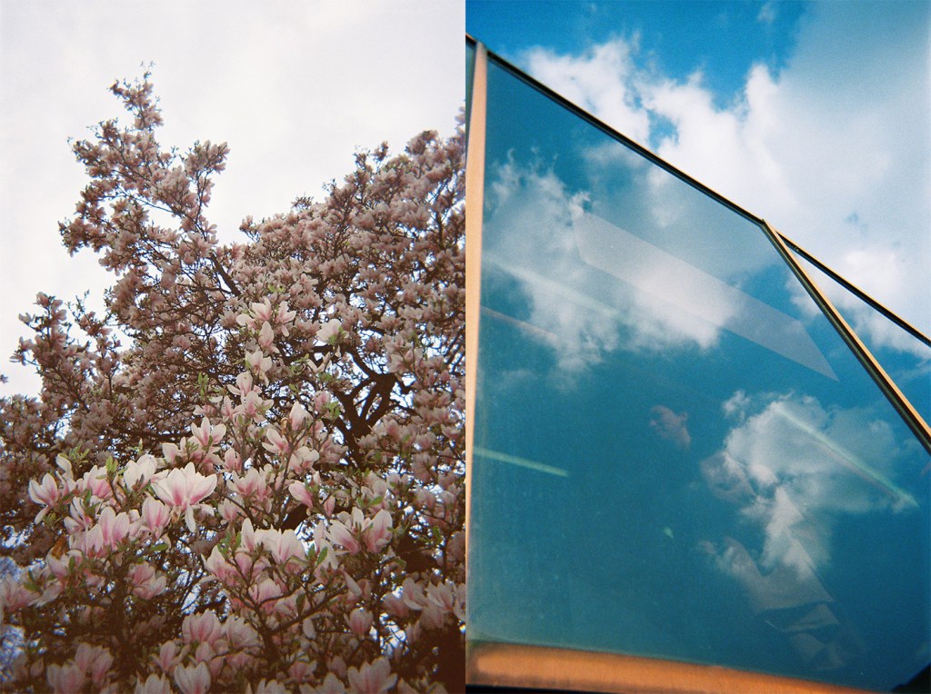 Madeleine Corcoran: Untitled diptych 4