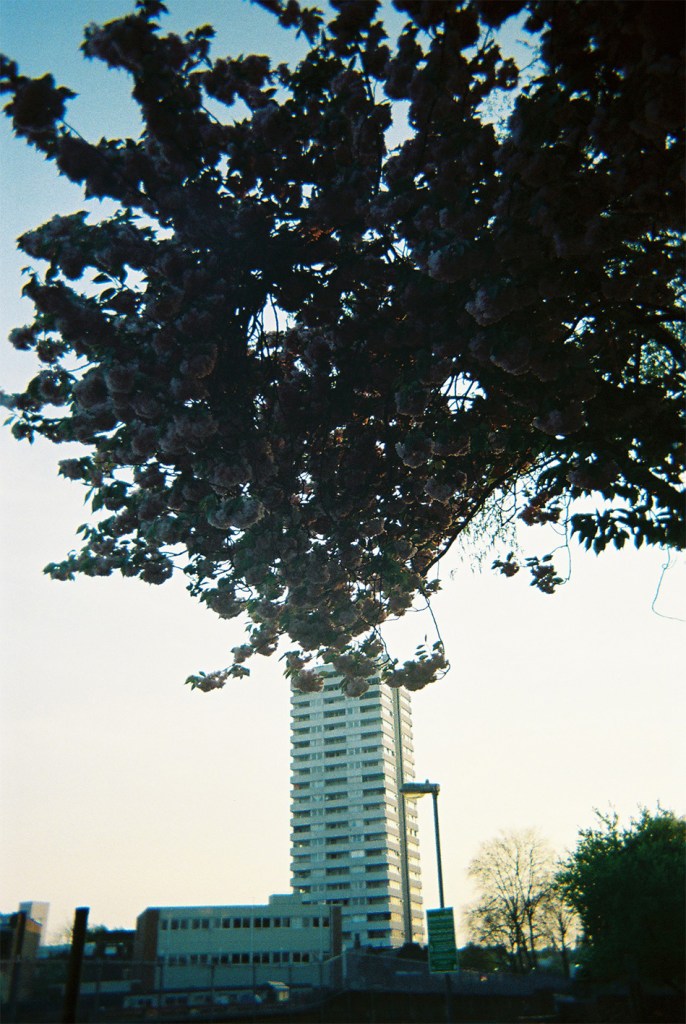 Madeleine Corcoran: Untitled 1