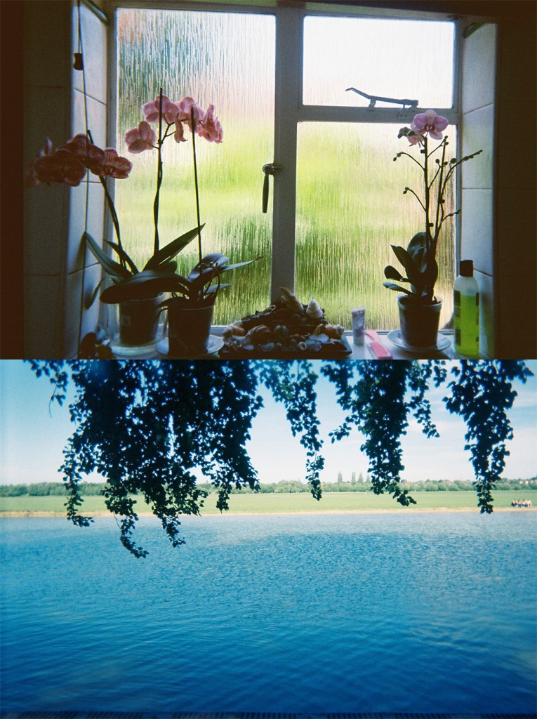 Madeleine Corcoran: Untitled diptych 5