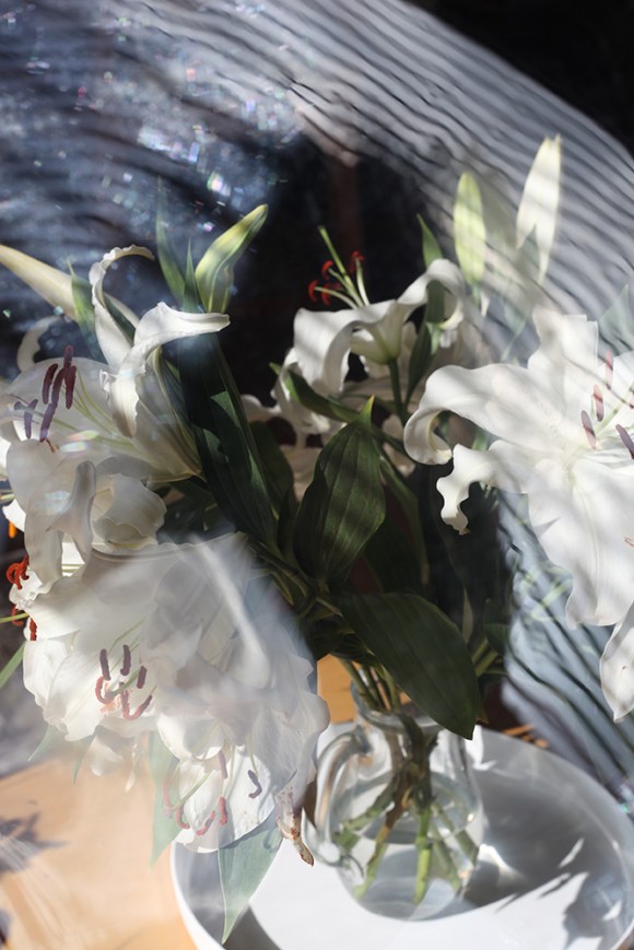 Lillies 2, Madeleine Corcoran