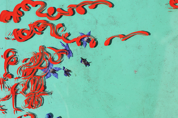 Madeleine Corcoran 2015